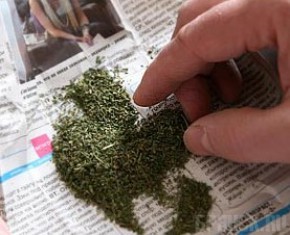 Парень ждет суда за продажу марихуаны