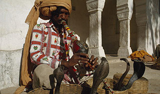 Житель Непала до смерти искусал кобру Житель Непала до смерти искусал кобру