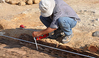 Останки Ричарда III будут искать радаром Останки Ричарда III будут искать радаром