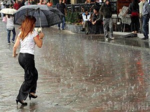 В Брянскую область придут дожди и грозы