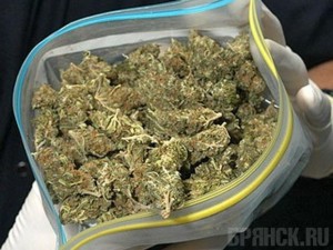 До 10 лет грозит мужчине за хранение марихуаны