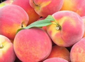 Свыше 55 тонн свежих персиков вернули поставщику