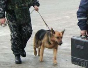 В Брянске «заминировали» поликлинику №4