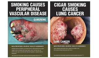 На пачки сигарет поместят страшные фото На пачки сигарет поместят страшные фото