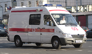 Ветка тополя убила девочку на Урале Ветка тополя убила девочку на Урале