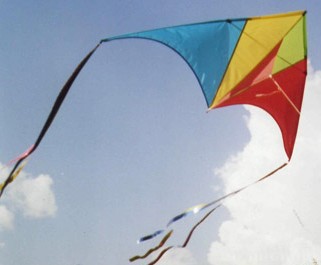 В Брянске запустят воздушных змеев