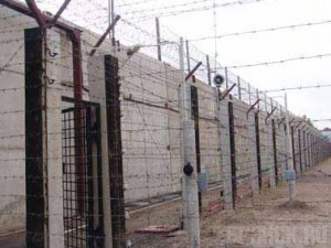 Отправили за решетку мужчину, разбившего человеку голову