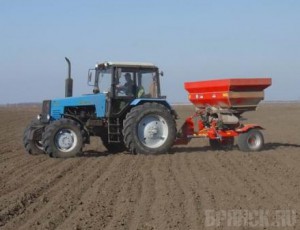 Под озимые выделили 200 тысяч гектаров