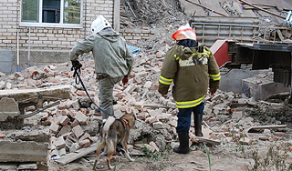 Крыша больницы рухнула на жителей Кубани Крыша больницы рухнула на жителей Кубани