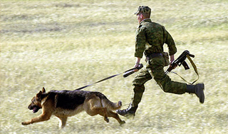 Контрабандисты разоружили пограничников Контрабандисты разоружили пограничников