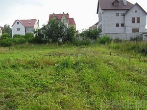 Всего около 300 семей получили земельные участки