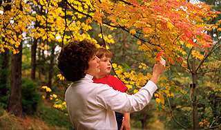 Бабье лето в Москве продлится до выходных Бабье лето в Москве продлится до выходных