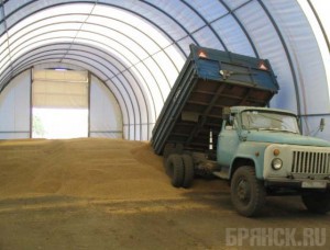 На хранение отправили 45 процентов зерна