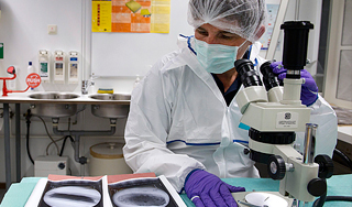 Врачи назвали самые загадочные болезни Врачи назвали самые загадочные болезни