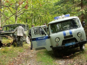 После убийства зубра в заповеднике усилили охрану bryansky-les.ru