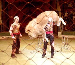 В Брянск приехал цирк братьев Запашных Братья Запашные