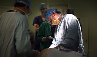 Утверждены правила определения смерти Утверждены правила определения смерти