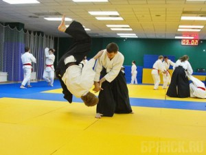 Строительство Дворца единоборств начнется в 2013 году