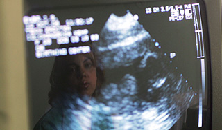 Эмбрионам отказали в правах людей Эмбрионам отказали в правах людей