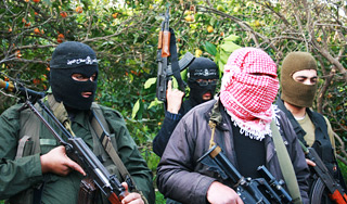 "Аль-Каида" поджигает леса в Европе "Аль-Каида" поджигает леса в Европе