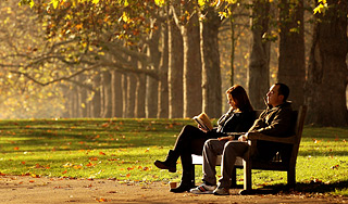 В Москве сохранится теплая погода В Москве сохранится теплая погода