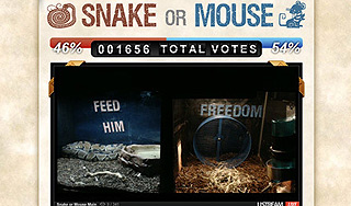 Появилась пародия на выборы в США Появилась пародия на выборы в США