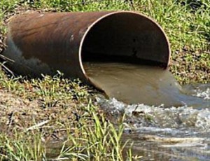 В реку Судость сбрасывали ядовитые вещества