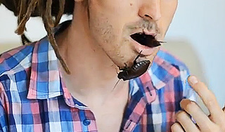 Американец объелся тараканами до смерти Американец объелся тараканами до смерти