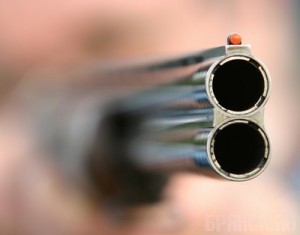 Пенсионер застрелил обидчика из ружья