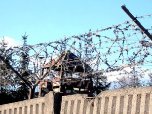 За серию преступлений мужчину изолировали от общества