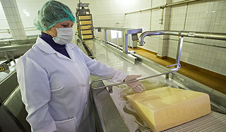 Украина признала плохое качество сыра Украина признала плохое качество сыра