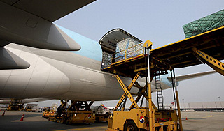 Турция нашла в лайнере из Москвы ракеты Турция нашла в лайнере из Москвы ракеты