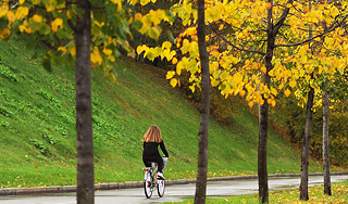 В Москву возвращается тепло В Москву возвращается тепло