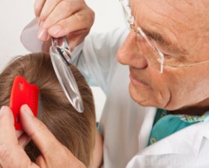 С начала года около тысячи брянцев подхватили педикулез