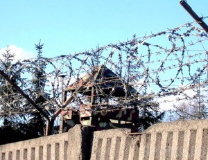 Упрятали за решетку мужчину, заколовшего отца вилами