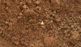 Curiosity нашел инородное тело Curiosity нашел инородное тело