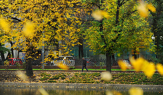 Бабье лето покидает Москву Бабье лето покидает Москву