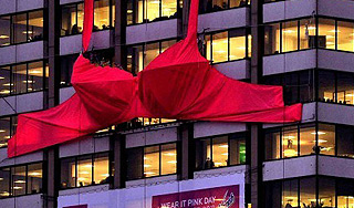 Бюстгальтер-рекордсмен уйдет с молотка Бюстгальтер-рекордсмен уйдет с молотка