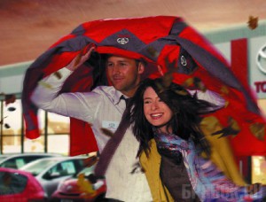 Осенний сервис Тойота: Забота - наша работа