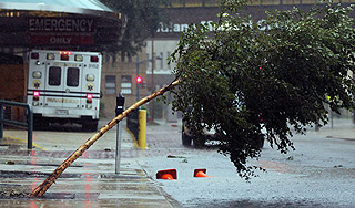 Ураган в США отменил тысячи авиарейсов Ураган в США отменил тысячи авиарейсов
