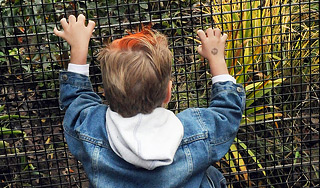 ������� ���� � ������ � ����� �������