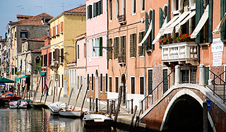 "��� �������" ������� �� ��� �������� ����