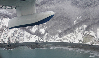 ��������� ���������� ���� � "��������"