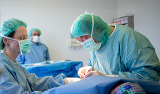 ������� ������ ����� �������� ��������