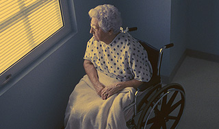 �������� ���������� �����������-����������