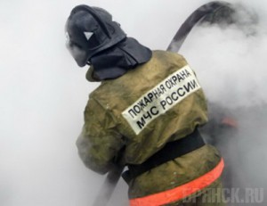 В сгоревшем доме обнаружили два трупа