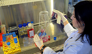 Ученые научились ловить раковые клетки Ученые научились ловить раковые клетки