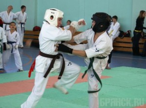 Брянские каратисты стали призерами первенства ЦФО