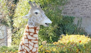 Улицы Эдинбурга патрулирует добрый жираф Улицы Эдинбурга патрулирует добрый жираф