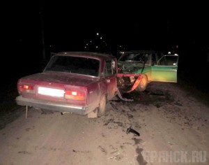 Ветеринар и зоотехник пострадали в автоаварии